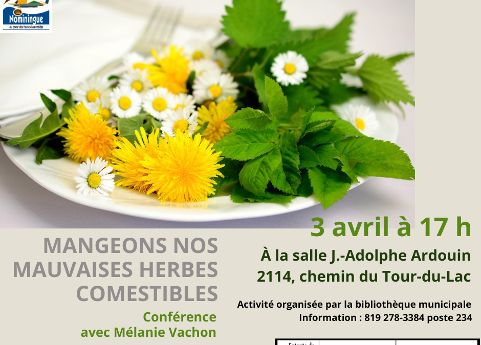 Mangeons nos mauvaises herbes comestibles
